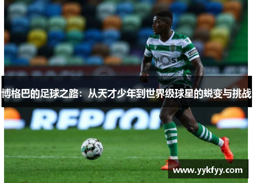 博格巴的足球之路：从天才少年到世界级球星的蜕变与挑战