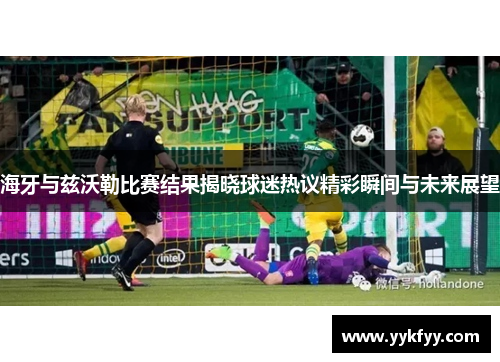 海牙与兹沃勒比赛结果揭晓球迷热议精彩瞬间与未来展望